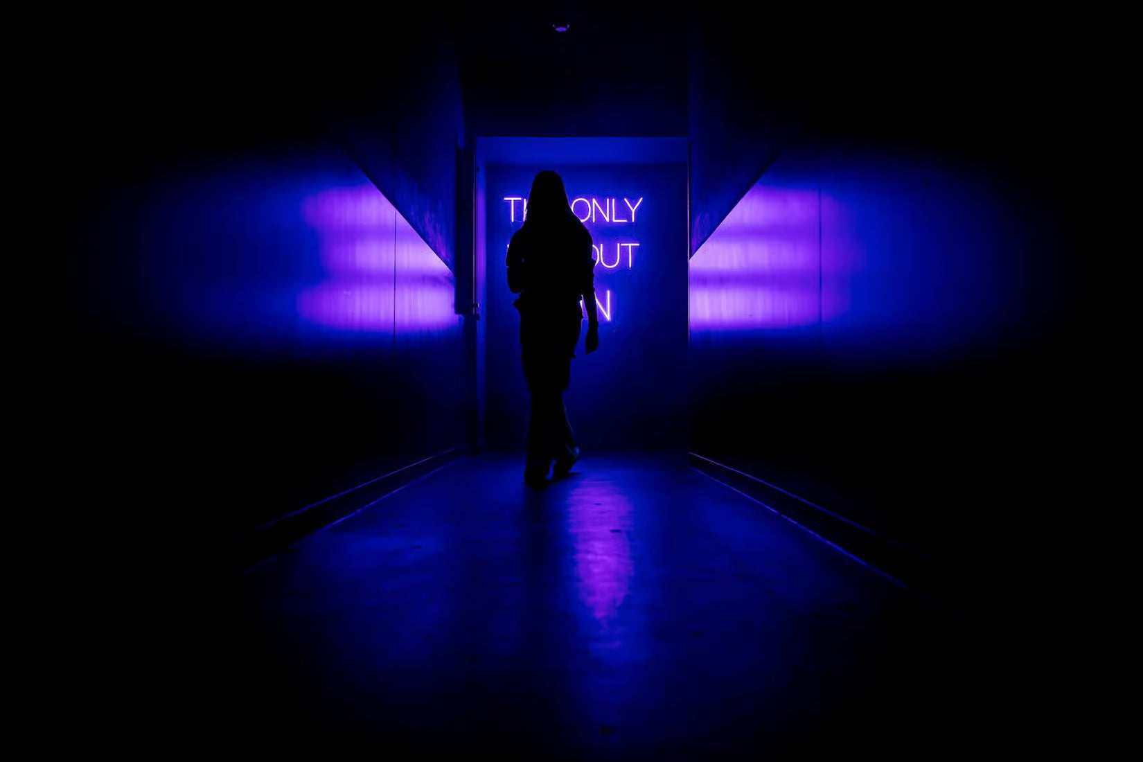 AMAZE Amsterdam: Immersive Audiovisual Experience