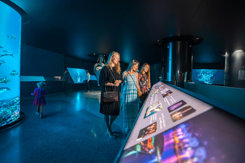 Dubai: The View At The Palm Observatory Entry Ticket