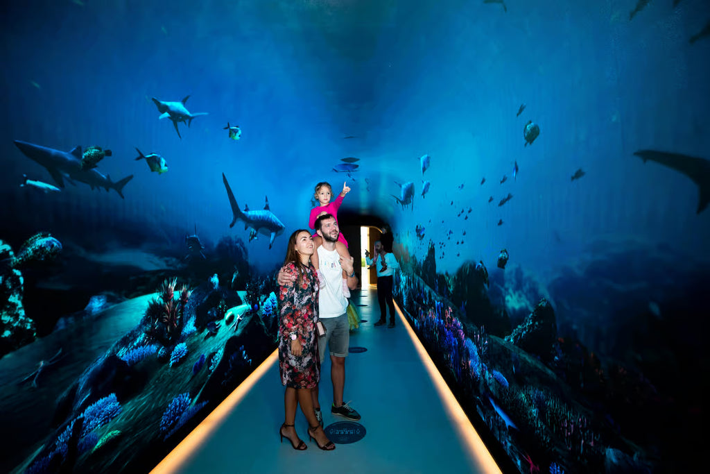 Dubai: The View At The Palm Observatory Entry Ticket