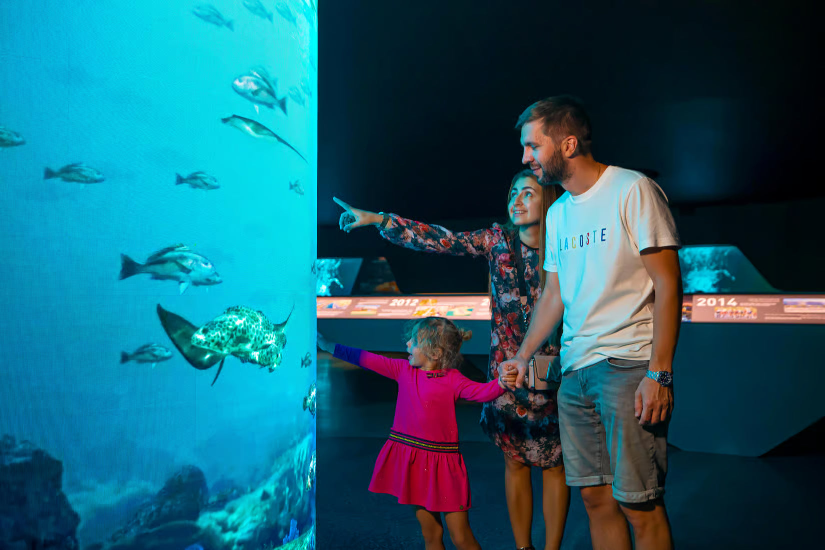 Dubai: The View At The Palm Observatory Entry Ticket